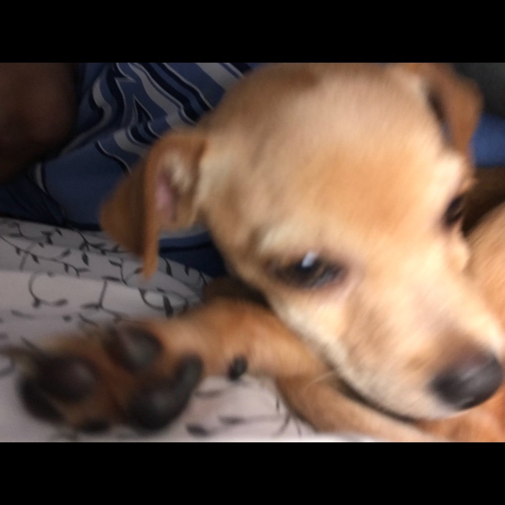 Meet your Posher, Cinthia